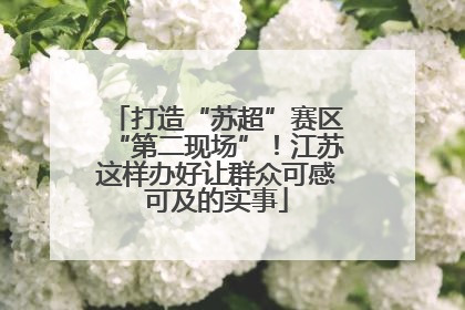 打造“苏超”赛区“第二现场”！江苏这样办好让群众可感可及的实事