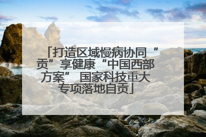 打造区域慢病协同“贡”享健康“中国西部方案” 国家科技重大专项落地自贡
