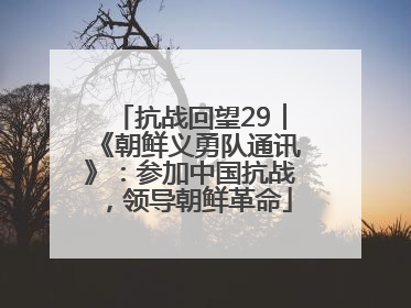 抗战回望29︱《朝鲜义勇队通讯》：参加中国抗战，领导朝鲜革命