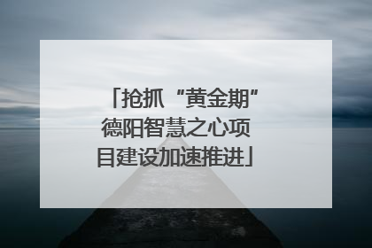 抢抓“黄金期” 德阳智慧之心项目建设加速推进