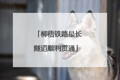 柳梧铁路最长隧道顺利贯通