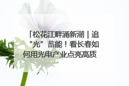 松花江畔涌新潮｜追“光”蓄能！看长春如何用光电产业点亮高质量发展新赛道