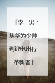 李一男：从华为少帅到锂电出行革新者