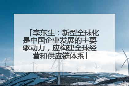 李东生：新型全球化是中国企业发展的主要驱动力，应构建全球经营和供应链体系