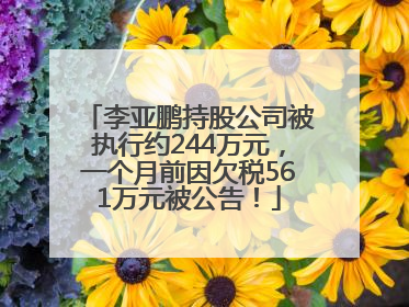 李亚鹏持股公司被执行约244万元，一个月前因欠税561万元被公告！