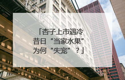 杏子上市遇冷 昔日“当家水果”为何“失宠”？