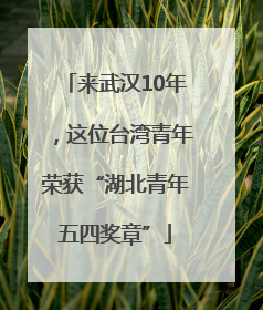 来武汉10年，这位台湾青年荣获“湖北青年五四奖章”