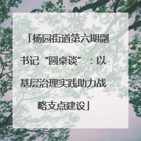 杨园街道第六期副书记“圆桌谈”：以基层治理实践助力战略支点建设