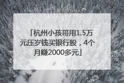 杭州小孩哥用1.5万元压岁钱买银行股，4个月赚2000多元