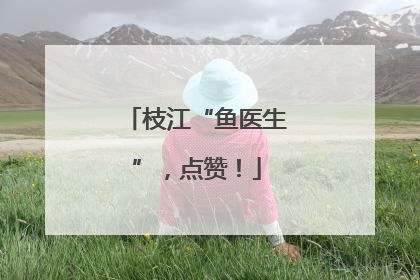 枝江“鱼医生”，点赞！