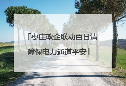 枣庄政企联动百日清障保电力通道平安
