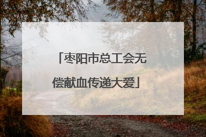 枣阳市总工会无偿献血传递大爱