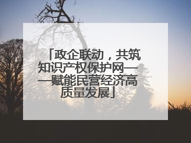 政企联动，共筑知识产权保护网——赋能民营经济高质量发展