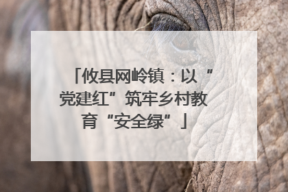 攸县网岭镇：以“党建红”筑牢乡村教育“安全绿”