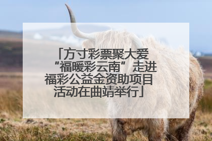 方寸彩票聚大爱 “福暖彩云南”走进福彩公益金资助项目活动在曲靖举行