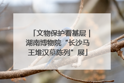文物保护看基层｜湖南博物院“长沙马王堆汉墓陈列”展