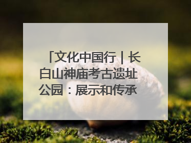 文化中国行｜长白山神庙考古遗址公园：展示和传承多民族文化交融