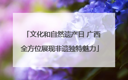 文化和自然遗产日 广西全方位展现非遗独特魅力