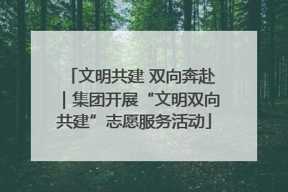 文明共建 双向奔赴｜集团开展“文明双向共建”志愿服务活动