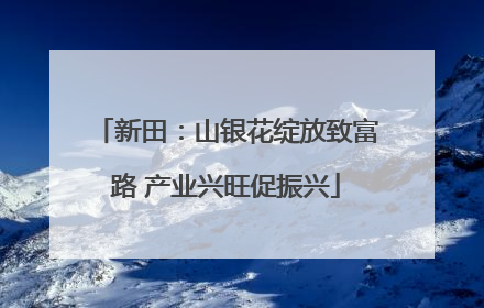 新田：山银花绽放致富路 产业兴旺促振兴