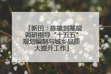 新田：陈雄到基层调研指导“十五五”规划编制与城乡品质大提升工作