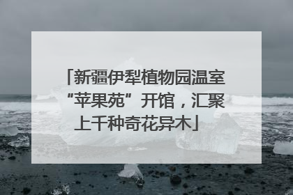 新疆伊犁植物园温室“苹果苑”开馆，汇聚上千种奇花异木