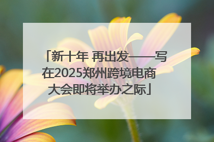 新十年 再出发——写在2025郑州跨境电商大会即将举办之际