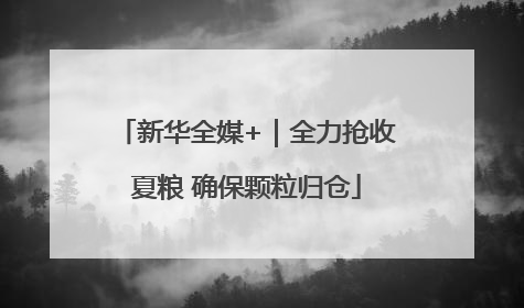 新华全媒+｜全力抢收夏粮 确保颗粒归仓