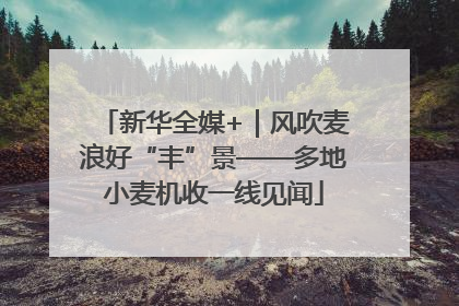 新华全媒+｜风吹麦浪好“丰”景——多地小麦机收一线见闻
