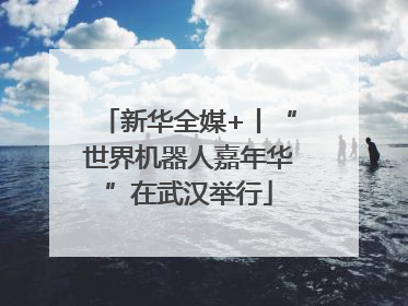 新华全媒+丨“世界机器人嘉年华”在武汉举行