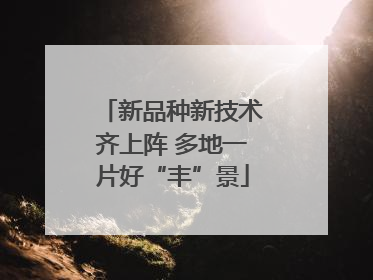新品种新技术齐上阵 多地一片好“丰”景