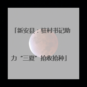 新安县：驻村书记助力“三夏”抢收抢种