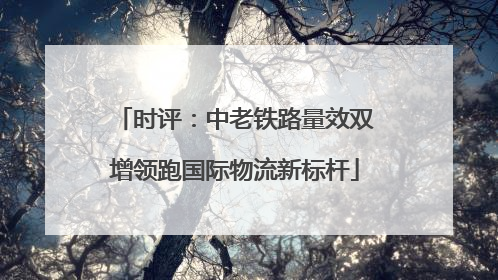 时评：中老铁路量效双增领跑国际物流新标杆