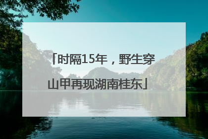 时隔15年，野生穿山甲再现湖南桂东