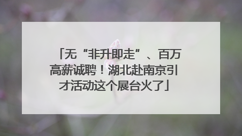 无“非升即走”、百万高薪诚聘！湖北赴南京引才活动这个展台火了