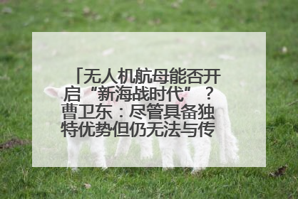 无人机航母能否开启“新海战时代”？曹卫东：尽管具备独特优势但仍无法与传统航母相提并论