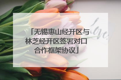 无锡惠山经开区与林芝经开区签署对口合作框架协议