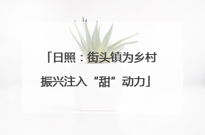 日照：街头镇为乡村振兴注入“甜”动力