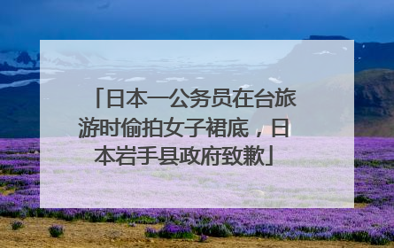 日本一公务员在台旅游时偷拍女子裙底，日本岩手县政府致歉