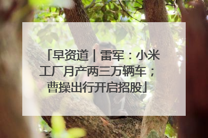 早资道｜雷军：小米工厂月产两三万辆车；曹操出行开启招股