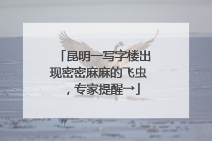昆明一写字楼出现密密麻麻的飞虫，专家提醒→