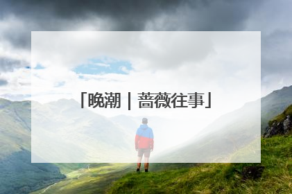 晚潮｜蔷薇往事