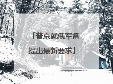 普京就俄军备提出最新要求