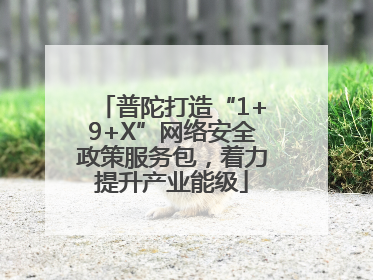 普陀打造“1+9+X”网络安全政策服务包，着力提升产业能级