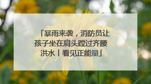 暴雨来袭，消防员让孩子坐在肩头蹚过齐腰洪水丨看见正能量