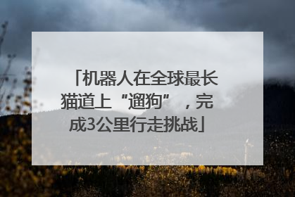 机器人在全球最长猫道上“遛狗”，完成3公里行走挑战