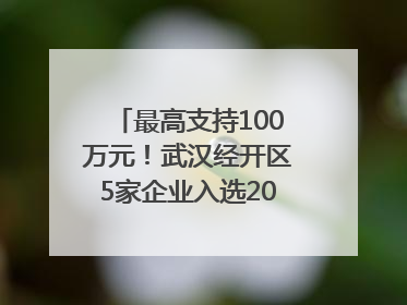 最高支持100万元！武汉经开区5家企业入选2025年度武汉市重点研发计划拟立项项目名单