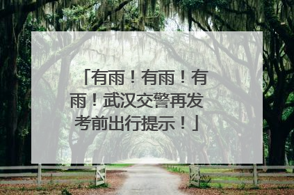 有雨！有雨！有雨！武汉交警再发考前出行提示！