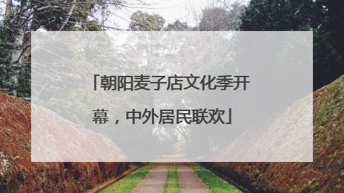 朝阳麦子店文化季开幕，中外居民联欢