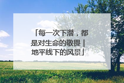 每一次下潜，都是对生命的敬畏｜地平线下的风景